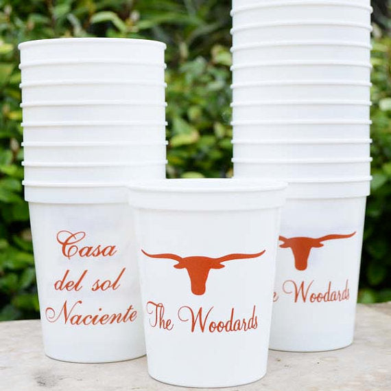 Family Reunion Cups, Personalized Plastic Cups, Reunion Party Favors,  Personalized Stadium Cups, Custom Party Cups, Family Trip Cup 