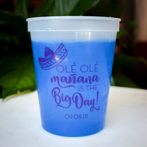 Custom "Mañana is the Big Day" Color Change Cup Favors
